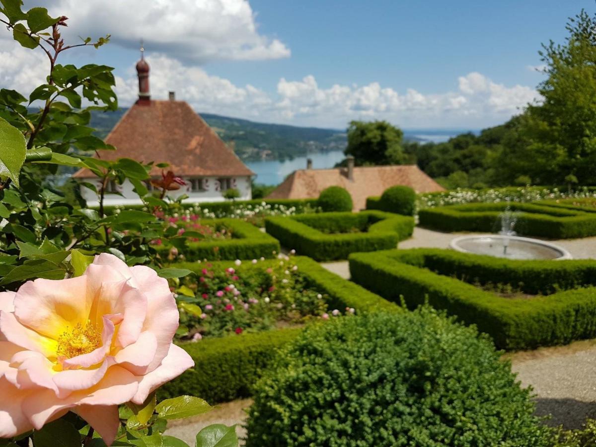 Schloss Freudenfels Eschenz Ngoại thất bức ảnh