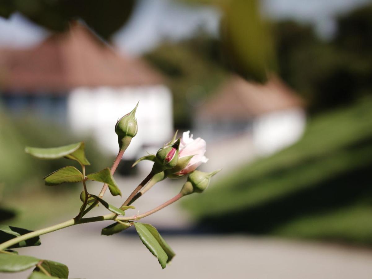 Schloss Freudenfels Eschenz Ngoại thất bức ảnh